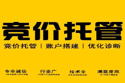 SEM推广策略：成功案例分享与优化技巧